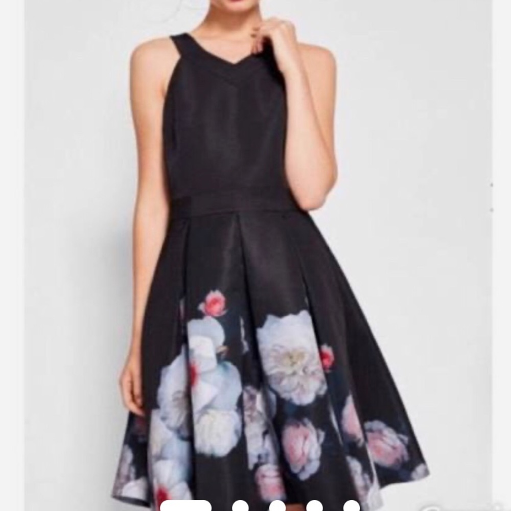 Ted Baker Women’s Jelina Chelsea Skater Dress